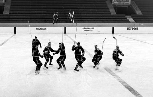 Ishockey, Brynäs, Träning