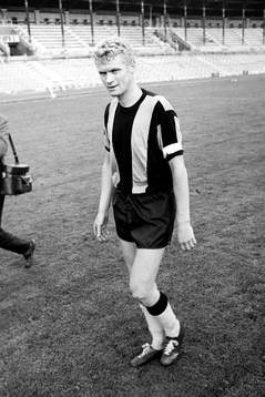 Tom Turesson, Hammarby