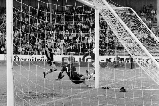 Ronnie Hellström, målvakt i Hammarby