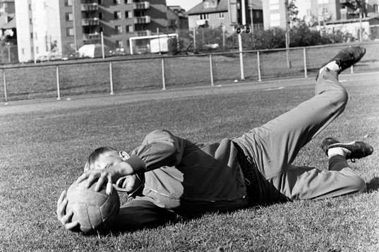 Ronnie Hellström