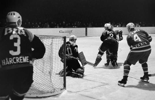 William Löfqvist, målvakt i Brynäs