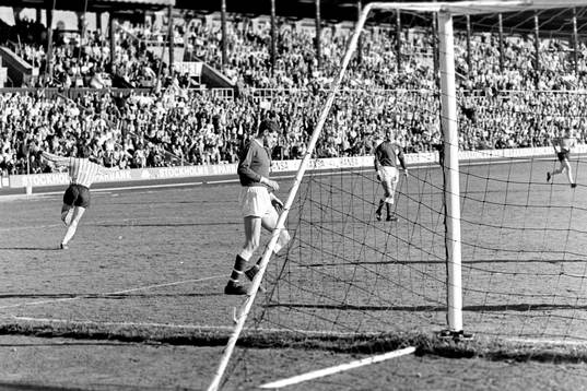 Jubel i Djurgården