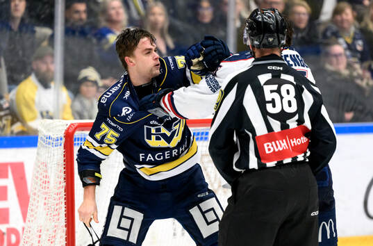  HV71s Radan Lenc