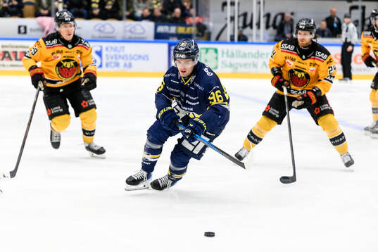 HV71s Nikola Pasic