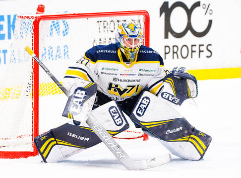 s målvakt Hugo Alnefelt