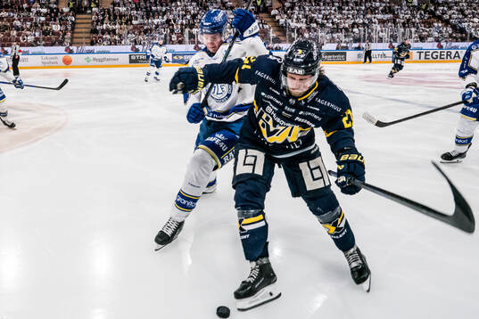 HV71s Mattias Tedenby