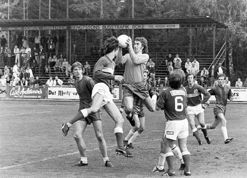 Lars-Erik Andersson, Hässleholm oroar skogens målvakt
