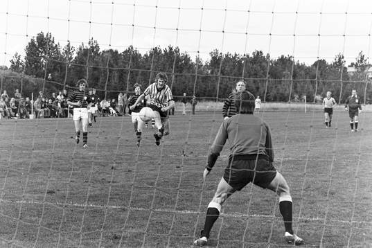 Jerry Rosén, Hässleholm i ett anfall