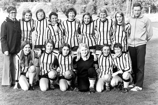 IFK Hässleholm, damlag seriesegrare