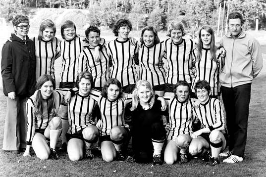 IFK Hässleholm, damlag seriesegrare