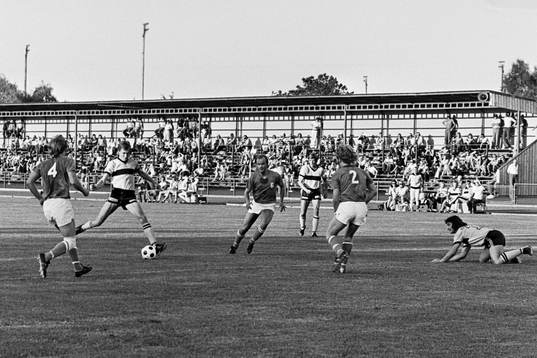 Claes Melin, Hässleholm i ett anfall