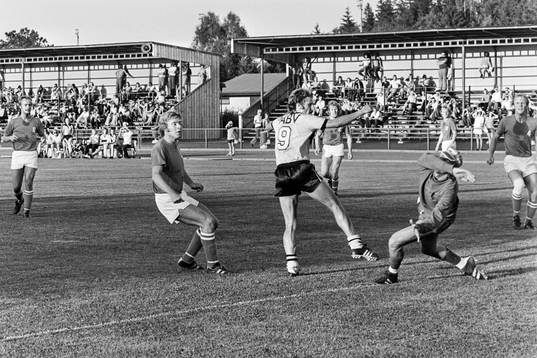 Jerry Rosén, Hässleholm i ett anfall