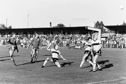 Björn Carlswärd, Leif Augustsson och Dan Granqvist,