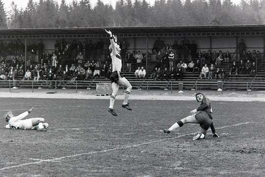 Dan Granqvist, Hässleholm jublar