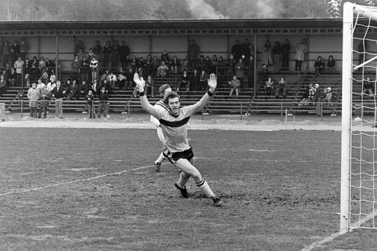 Bertil Arnesson, Hässleholm jublar
