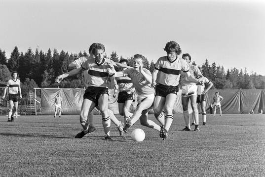 Hässleholms Björn Carlswärd och Håkan Bergstrand