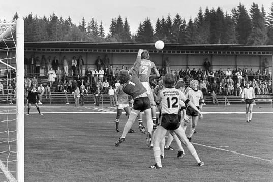 Fotboll, Div 3 sydöstra götaland, Hässleholms IF -