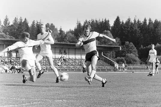 Claes Melin, Hässleholm i skottagen