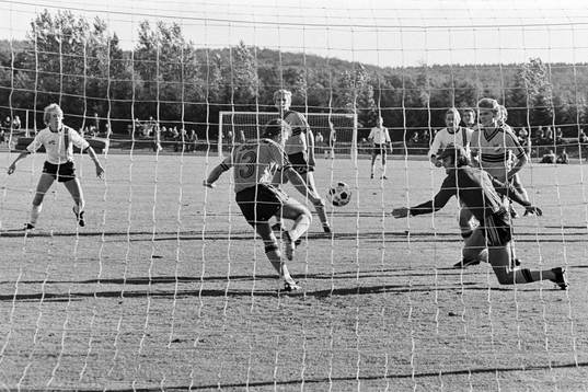 Pär Andersson, Hässleholm rensar