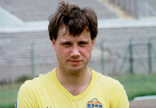 Ingemar Erlandsson, Sverige