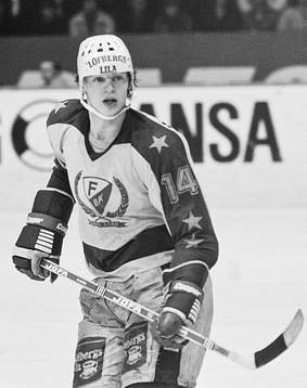 Bengt-Åke Gustafsson, Färjestad