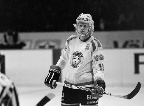 Lars-Göran Gerdin, Brynäs