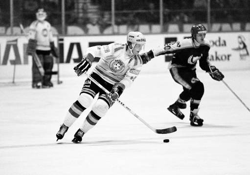 Stig Salming, Brynäs