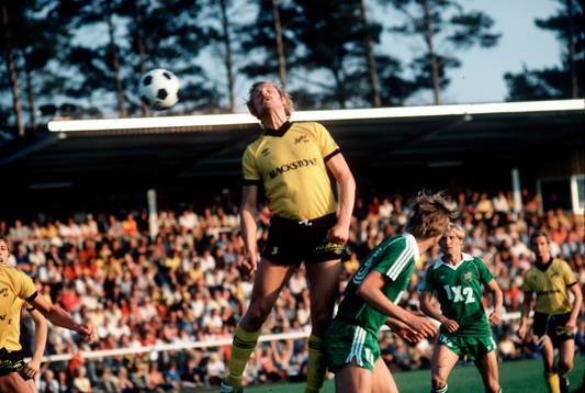 Rolf-Inge Andersson