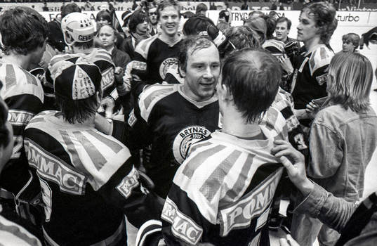 Brynäs, svenska mästare