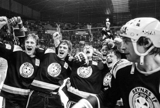 Brynäs, svenska mästare