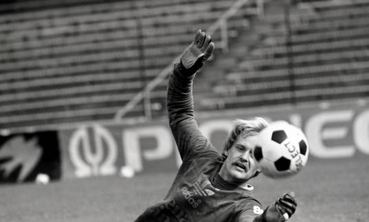 Ronnie Hellström