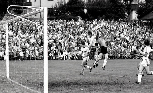Roger Hansson