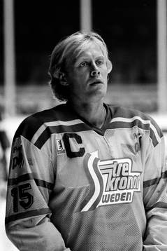 Anders Hedberg, Sverige