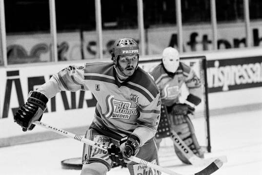 Lars Lindgren, Sverige
