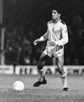 Swansea - Tottenham: Tottenhams Chris Hughton