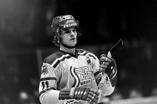 Thomas Rundqvist, Sverige