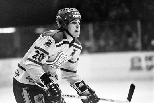 Jan Erixon, Sverige