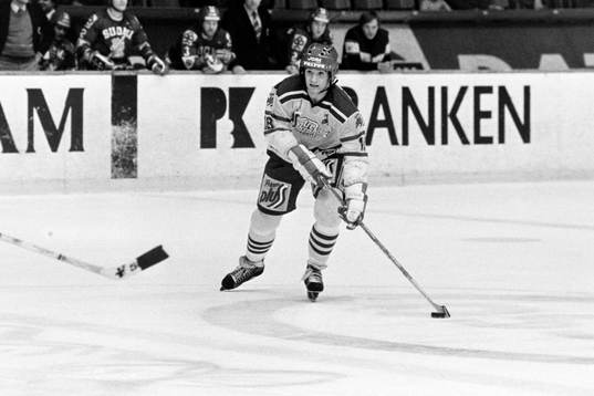 Peter Sundström, Sverige