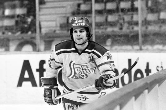 Mats Ulander, Sverige