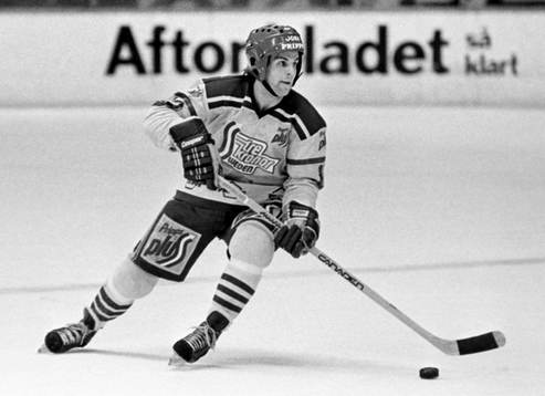 Mats Ulander, Sverige