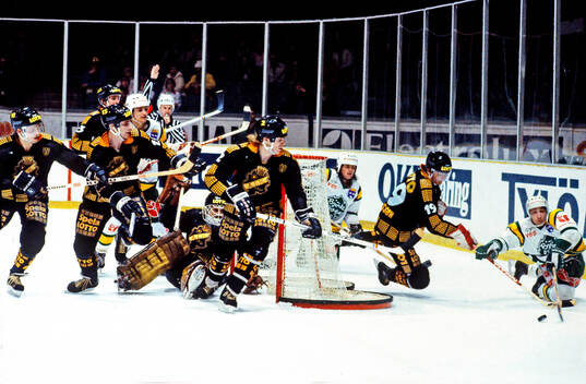 Ishockey, Elitserien 1981-82, SM-final 5, AIK -