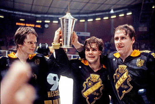 Ishockey, Elitserien 1981-82, SM-final 5, AIK -