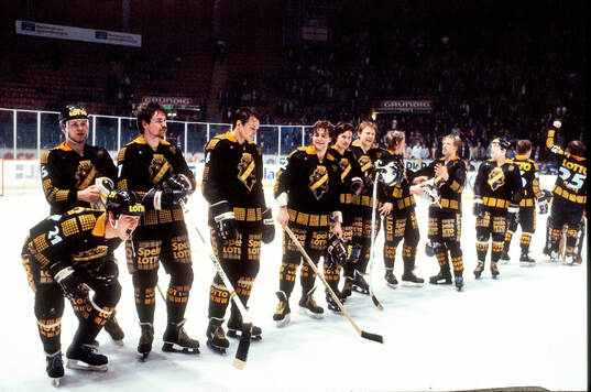 Ishockey, Elitserien 1981-82, SM-final 5, AIK -