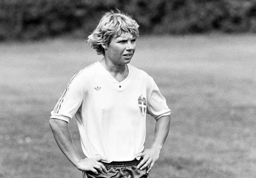 Ann Jansson, Sverige