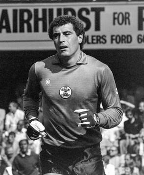 Southampton - Aston Villa: Southamptons goalkeeper Peter