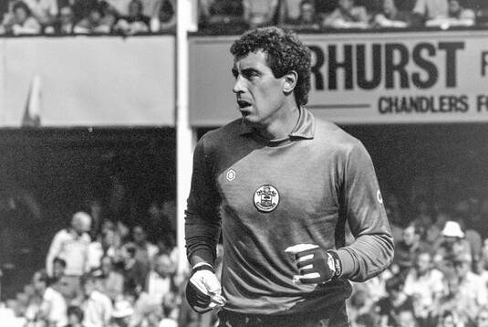 Southampton - Aston Villa: Southamptons goalkeeper Peter