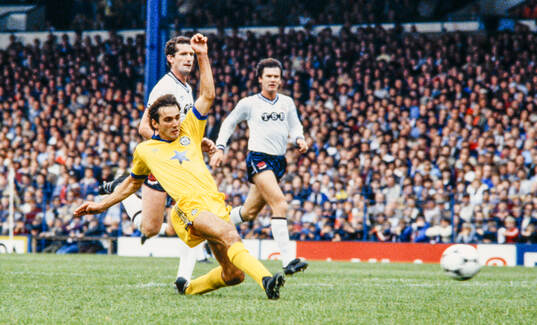 Football, Division Two, England 1982-1983, Bolton -