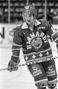 Håkan Hjerpe, Hammarby