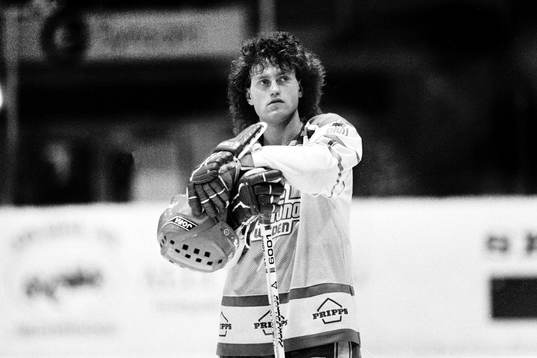 Roger Hägglund, Sverige