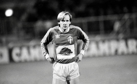 Dan Corneliusson, Sverige